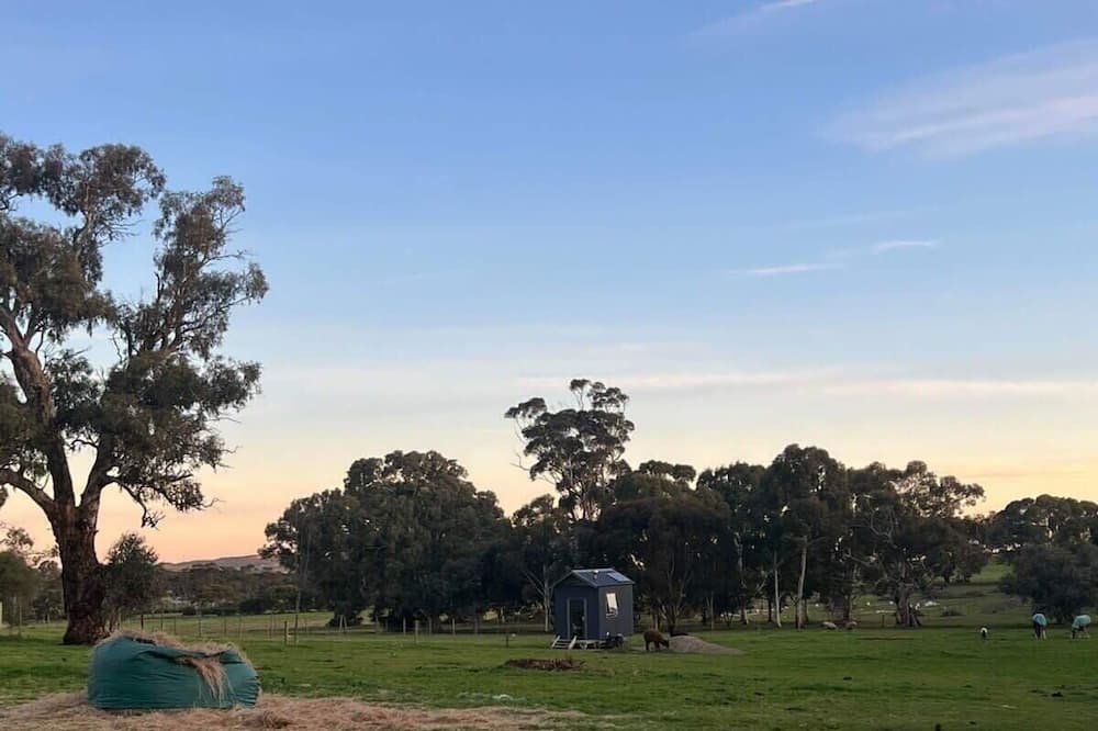 Photo of Others in Kapunda