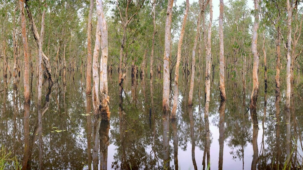 Photo of Others in Herbert