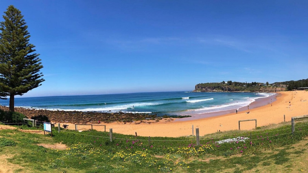 Photo of Others in Avalon Beach