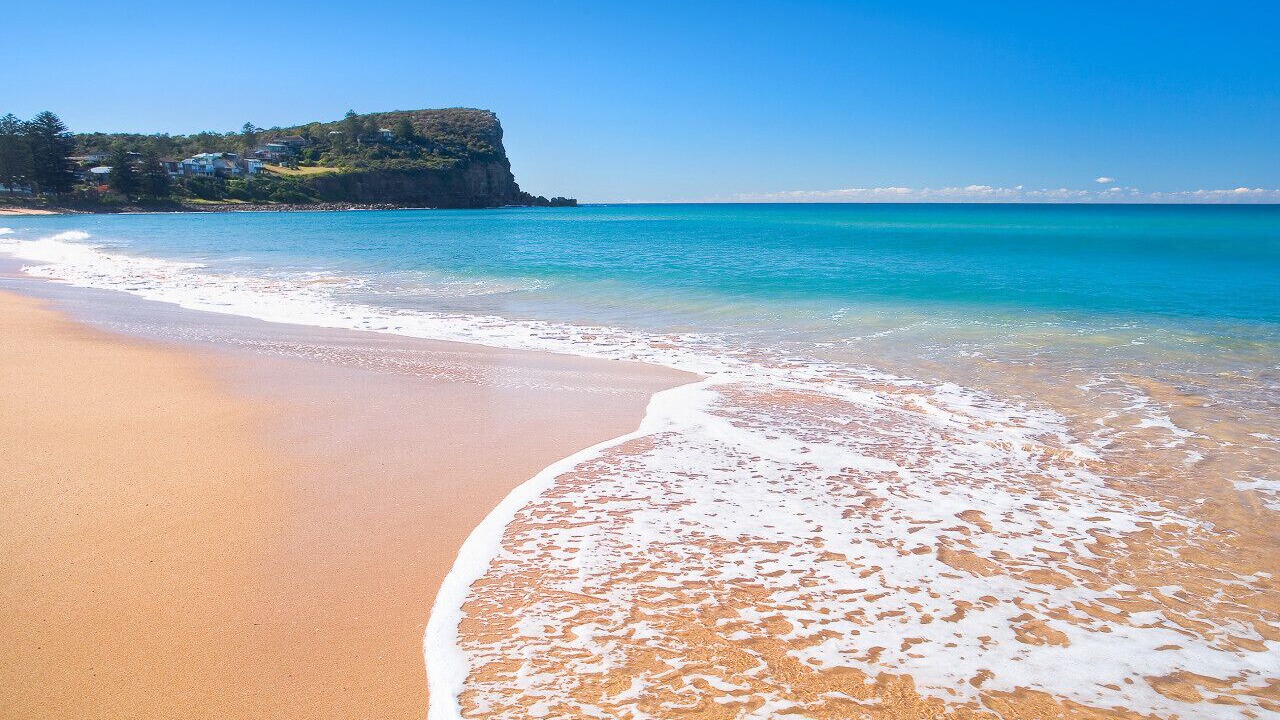 Photo of Others in Avalon Beach