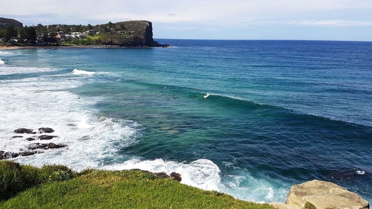 Photo of Others in Avalon Beach