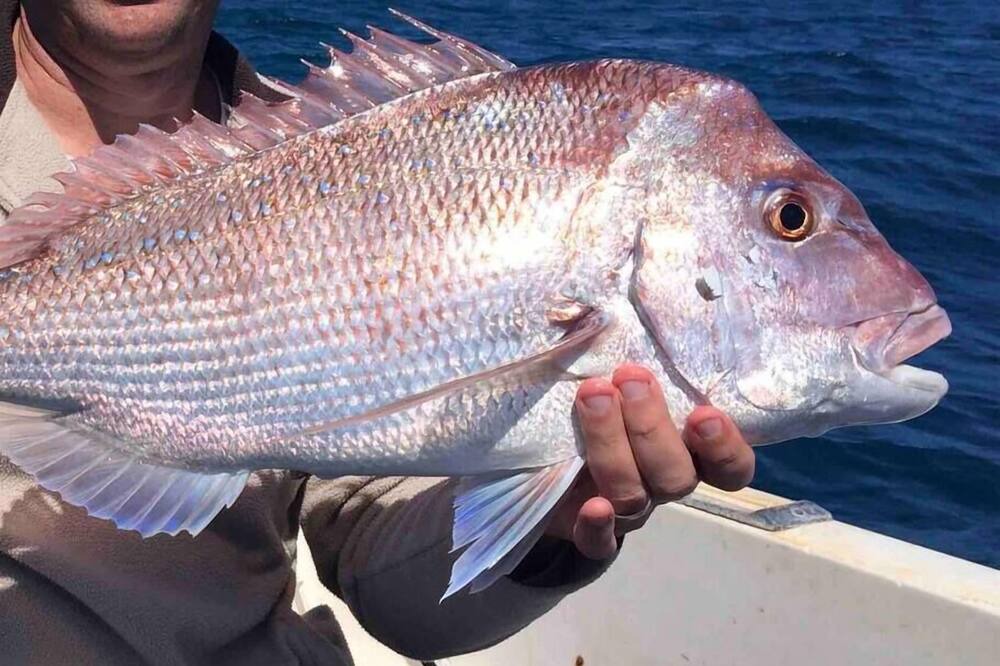 Photo of Others in Jurien Bay