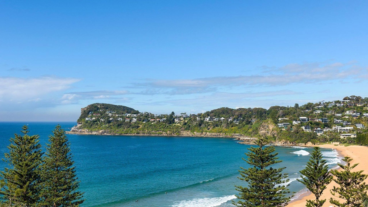 Photo of Others in Whale Beach