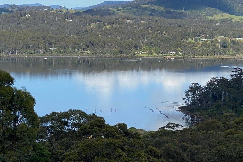 Photo of Others in Merimbula