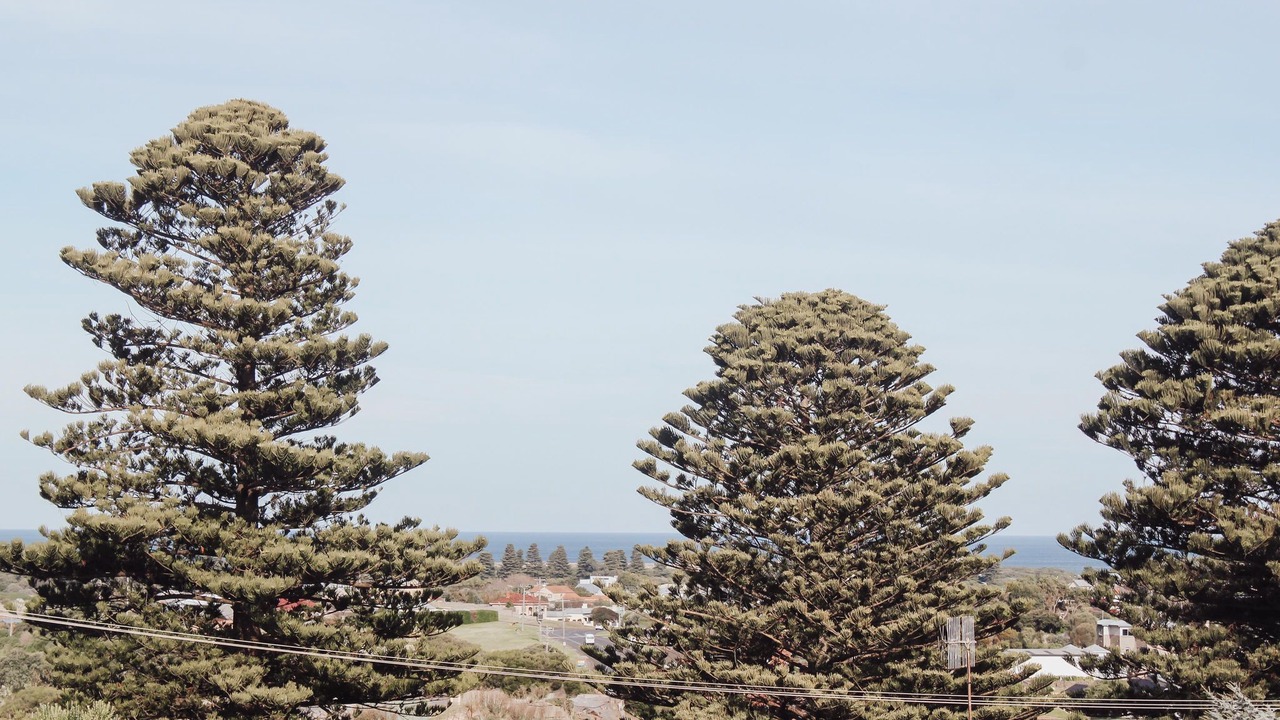 Photo of Outdoor in Warrnambool