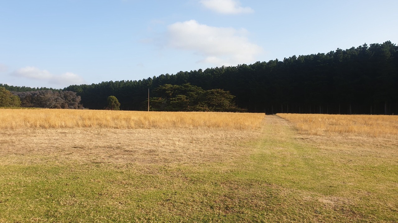 Photo of Others in Tantanoola