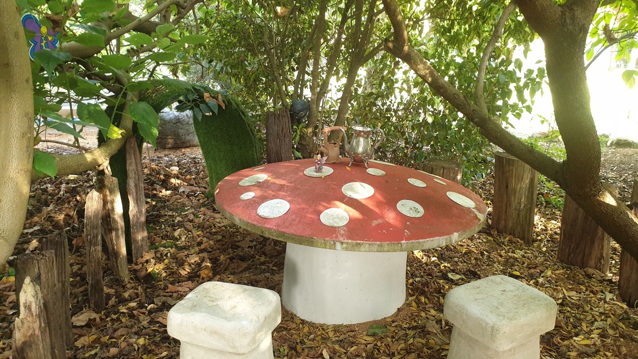 Photo of Outdoor in Tantanoola