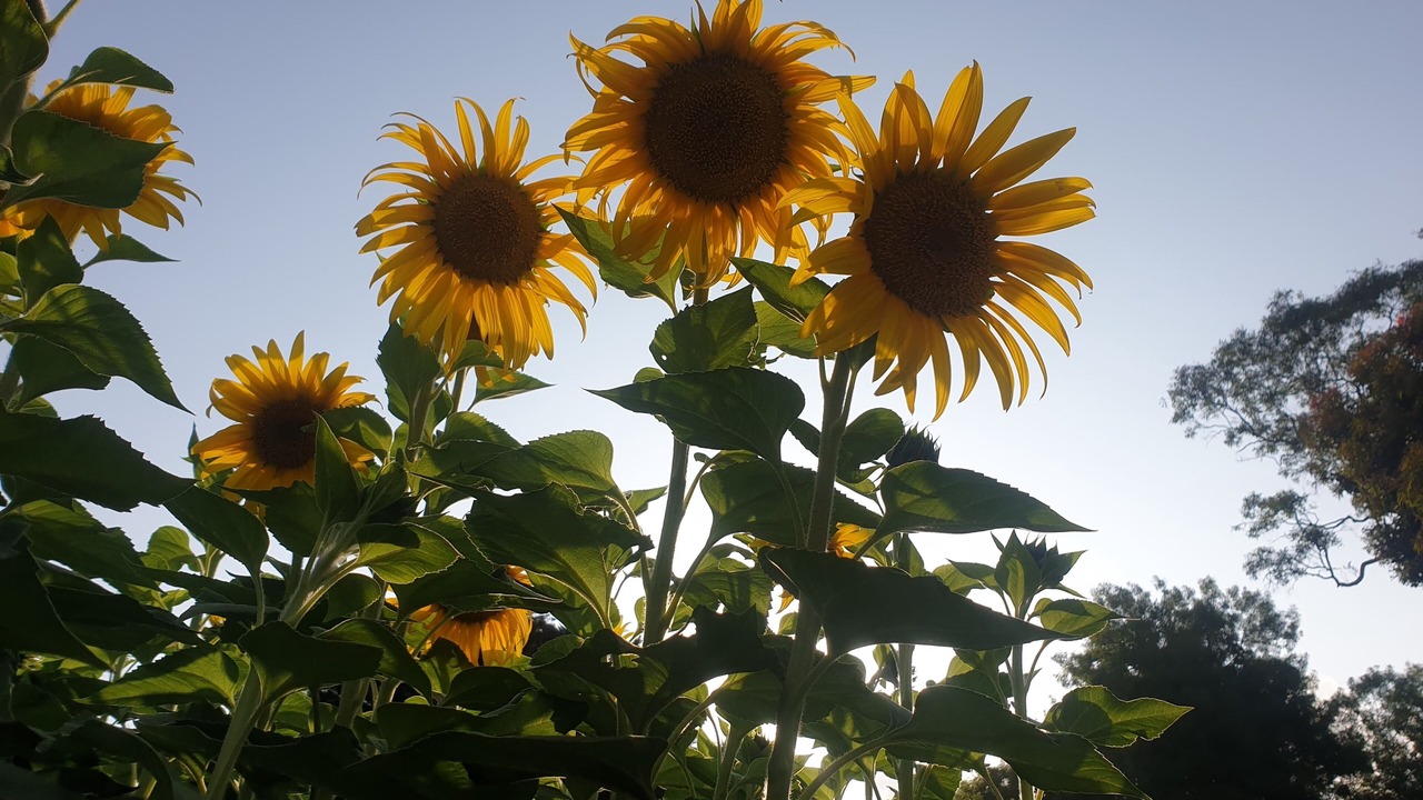 Photo of Outdoor in Tantanoola