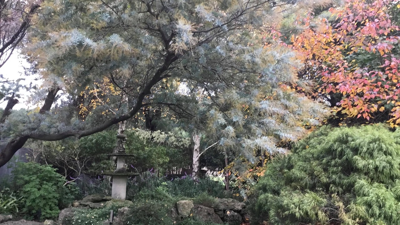 Photo of Outdoor in Tantanoola