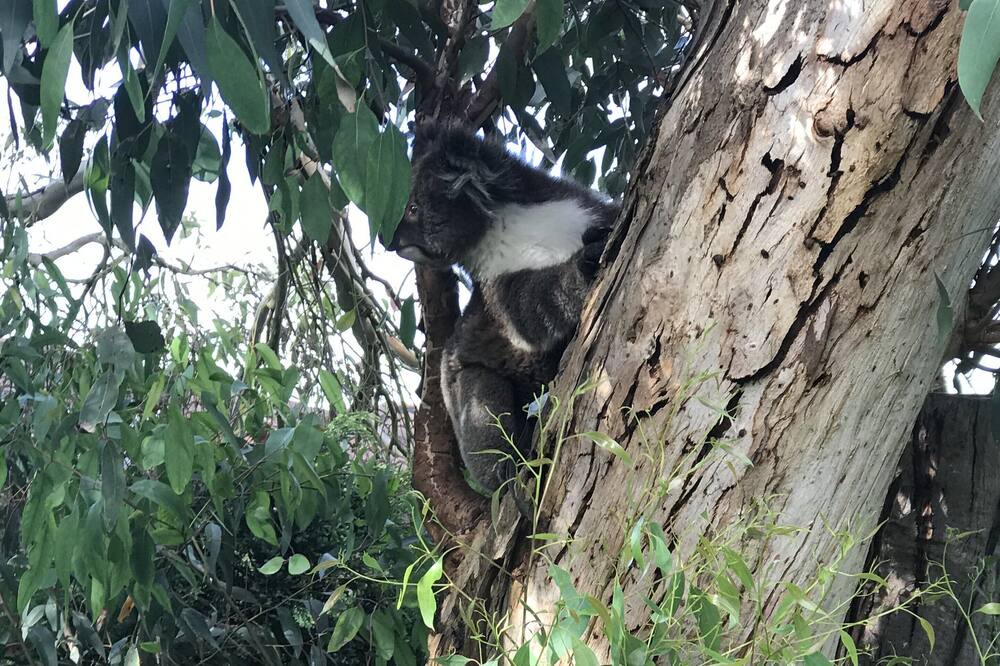 Photo of Outdoor in Portland