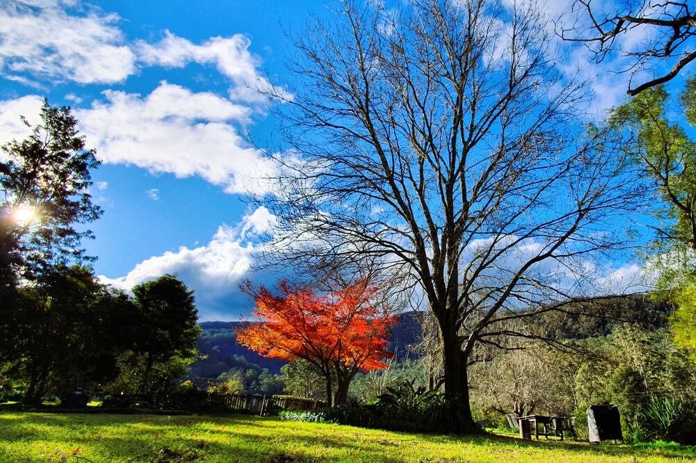 Photo of Outdoor in Kangaroo Valley
