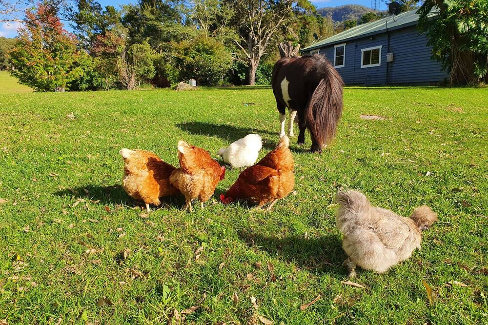 Photo of Outdoor in Kangaroo Valley