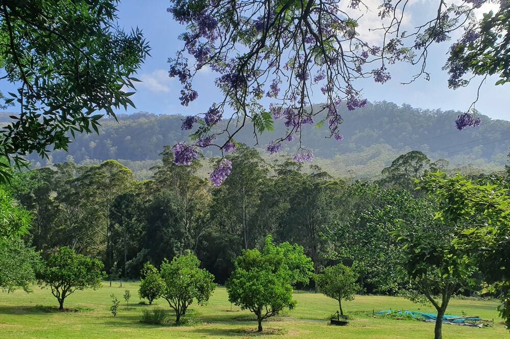 Photo of Outdoor in Kangaroo Valley