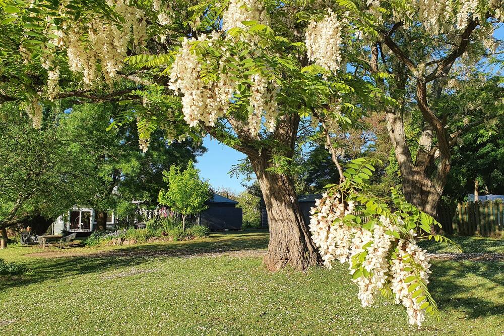 Photo of Outdoor in Kangaroo Valley