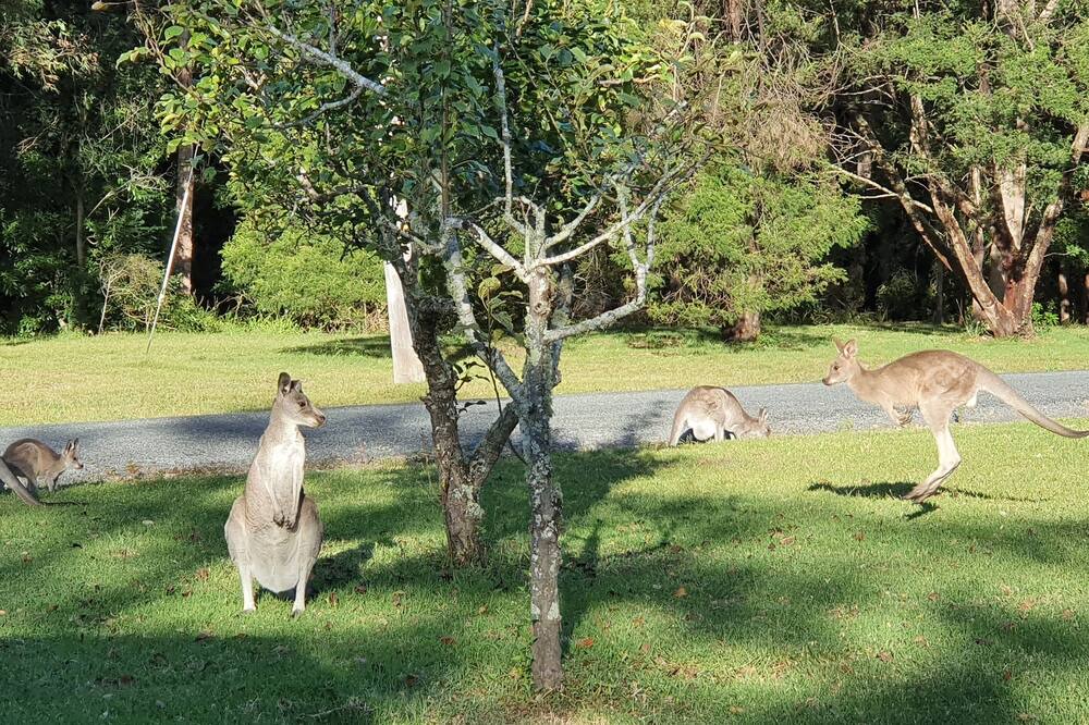 Photo of Outdoor in Kangaroo Valley
