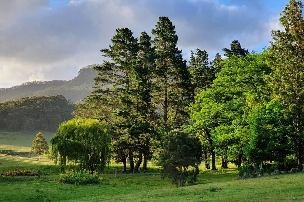 Photo of Others in Kangaroo Valley