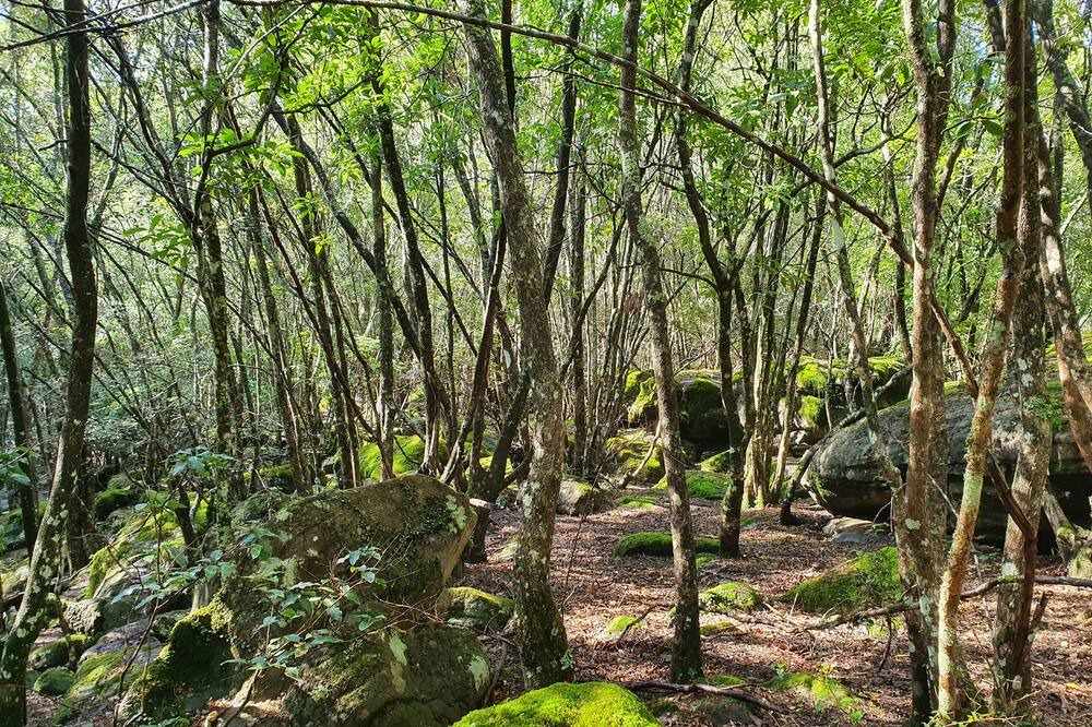 Photo of Outdoor in Kangaroo Valley