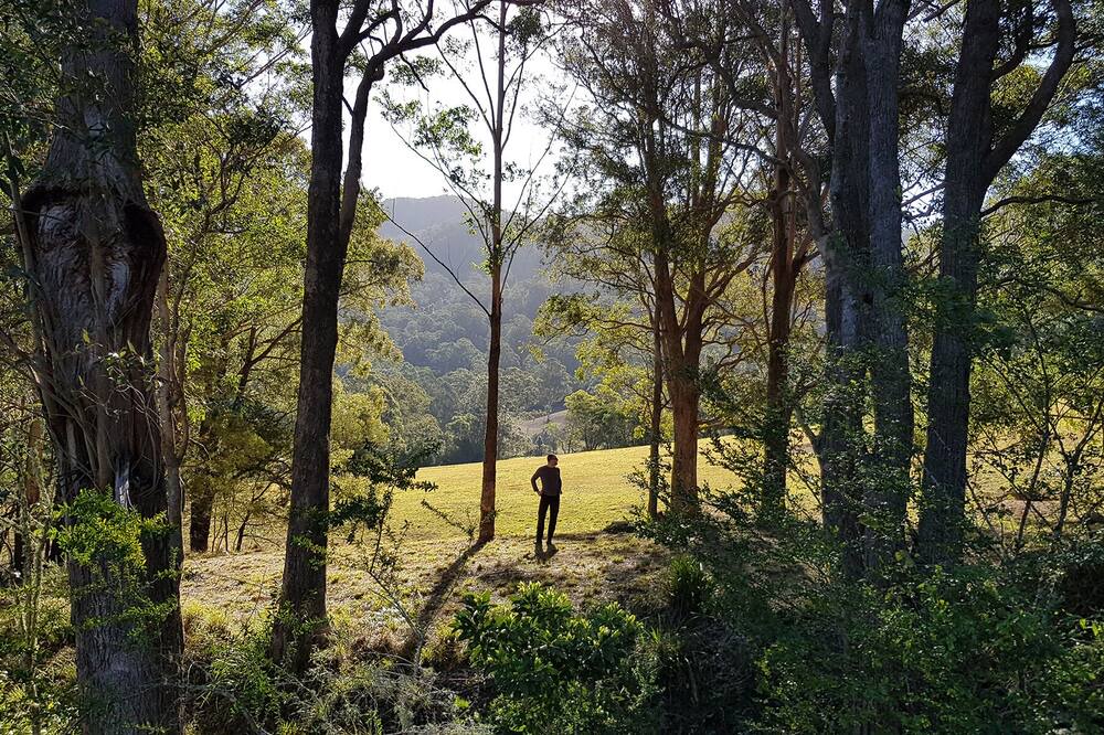 Photo of Outdoor in Kangaroo Valley