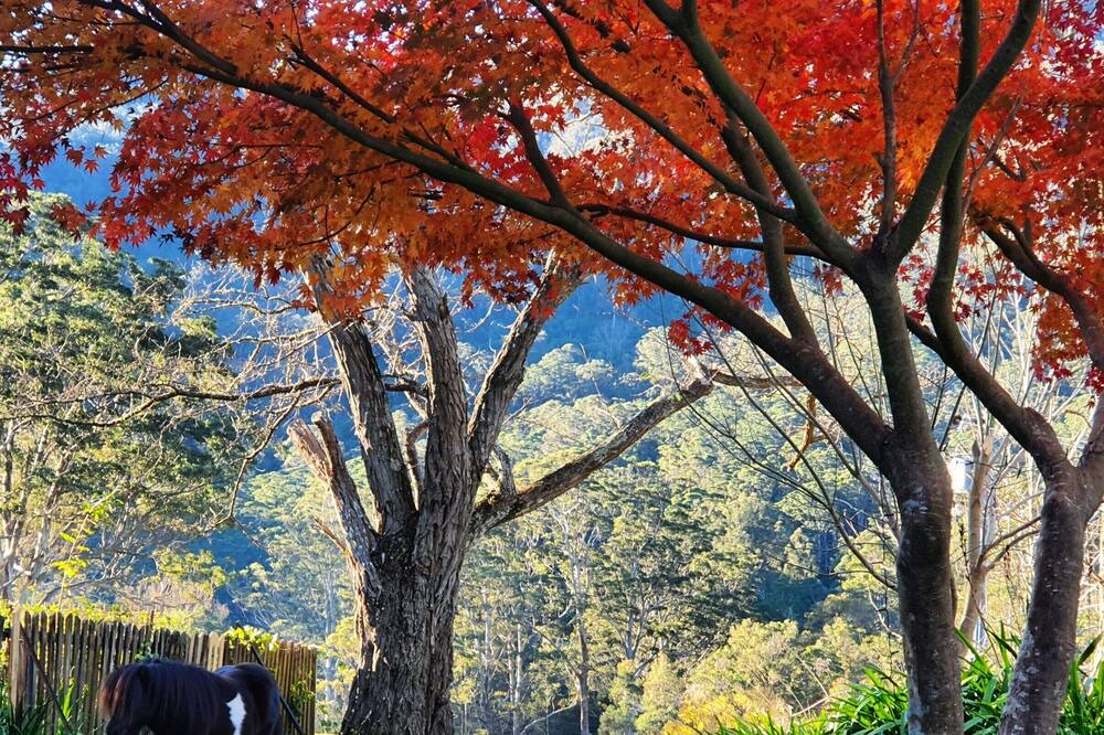 Photo of Outdoor in Kangaroo Valley
