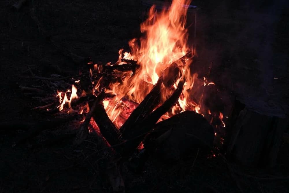 Photo of Outdoor in Riddells Creek