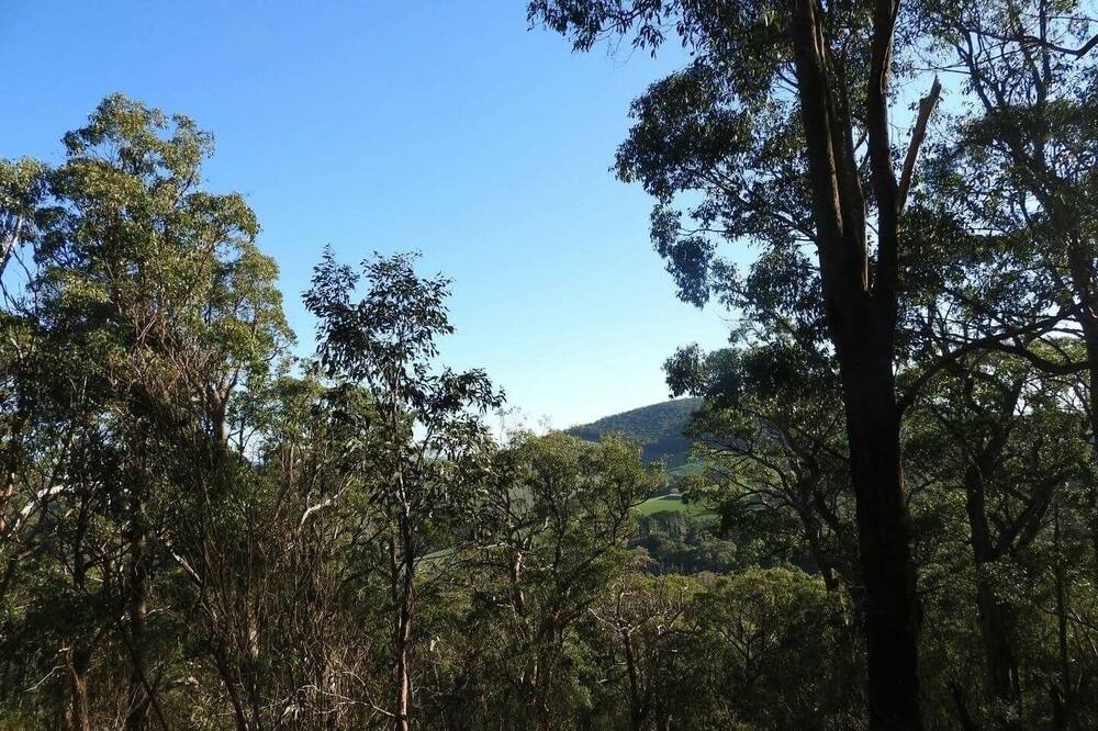 Photo of Outdoor in Riddells Creek