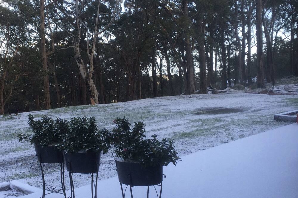 Photo of Outdoor in Riddells Creek