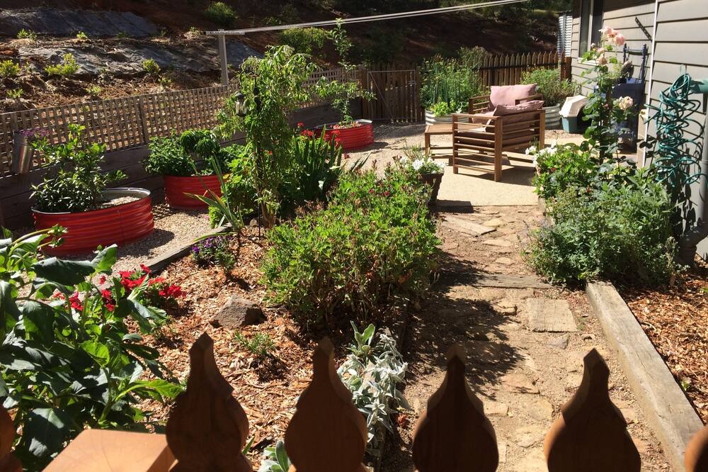 Photo of Outdoor in Riddells Creek