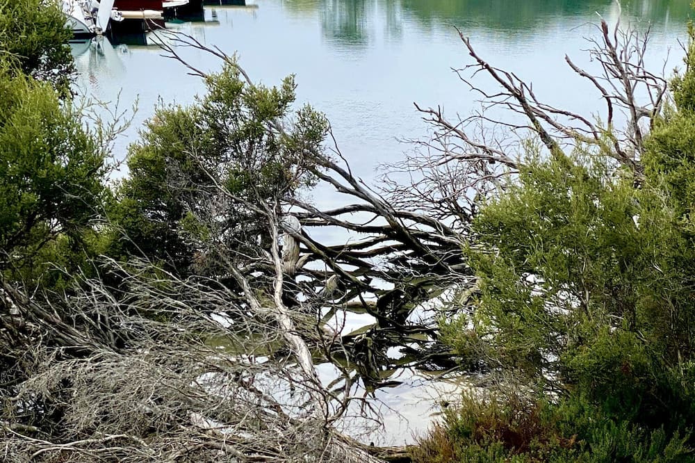 Photo of Outdoor in Waterhouse
