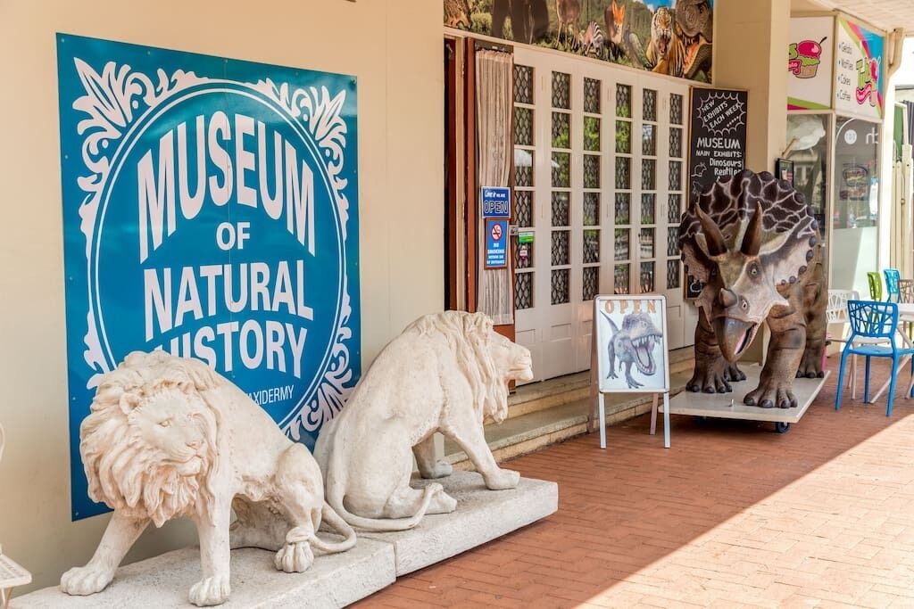 Photo of Outdoor in Bassendean