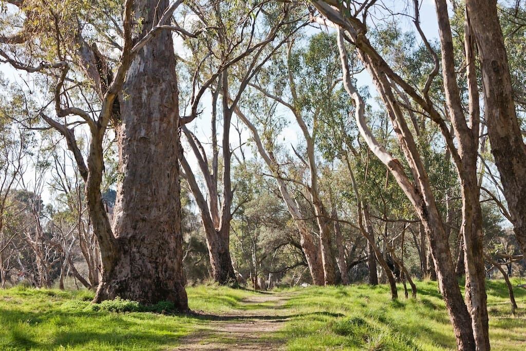Photo of Outdoor in Bassendean