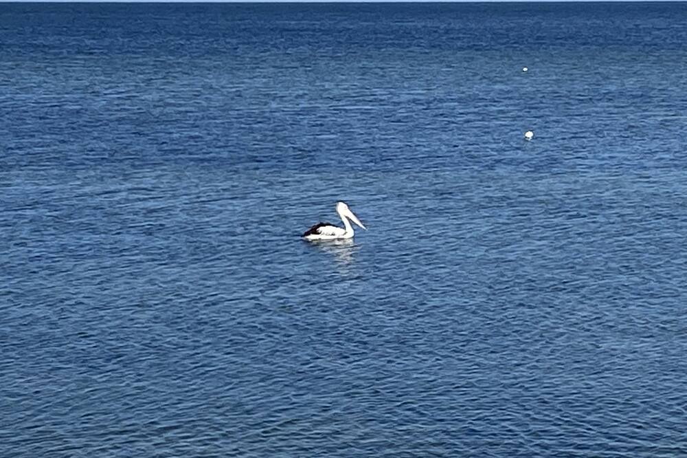 Photo of Others in Melville