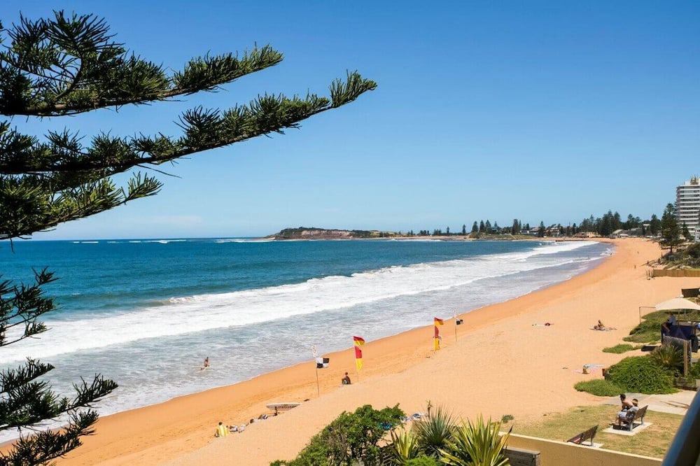 Photo of Others in Narrabeen