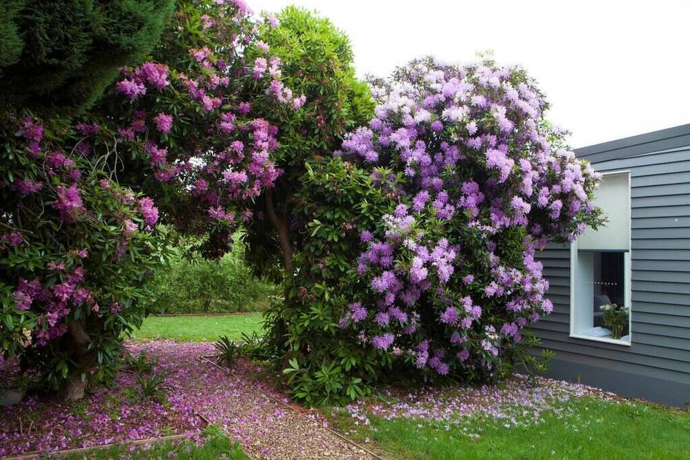 Photo of Outdoor in Trentham