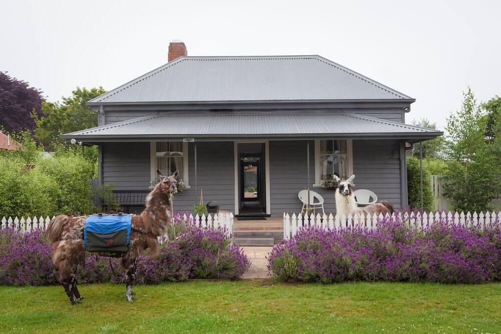 Photo of Others in Trentham