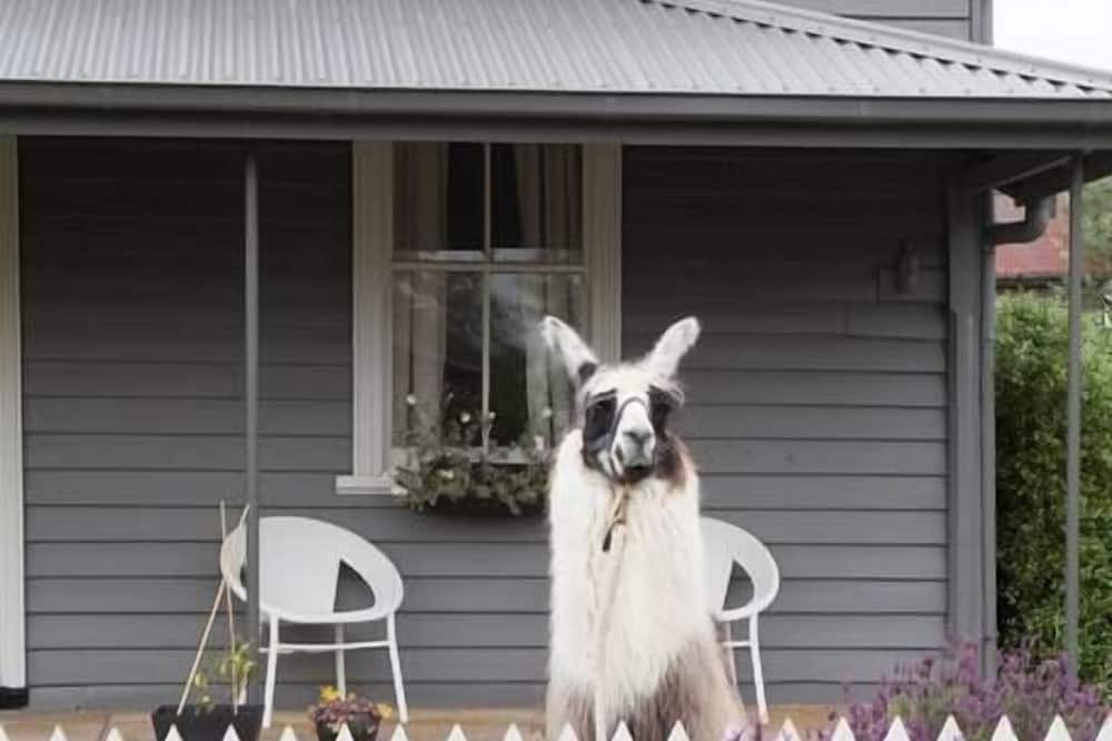 Photo of Outdoor in Trentham
