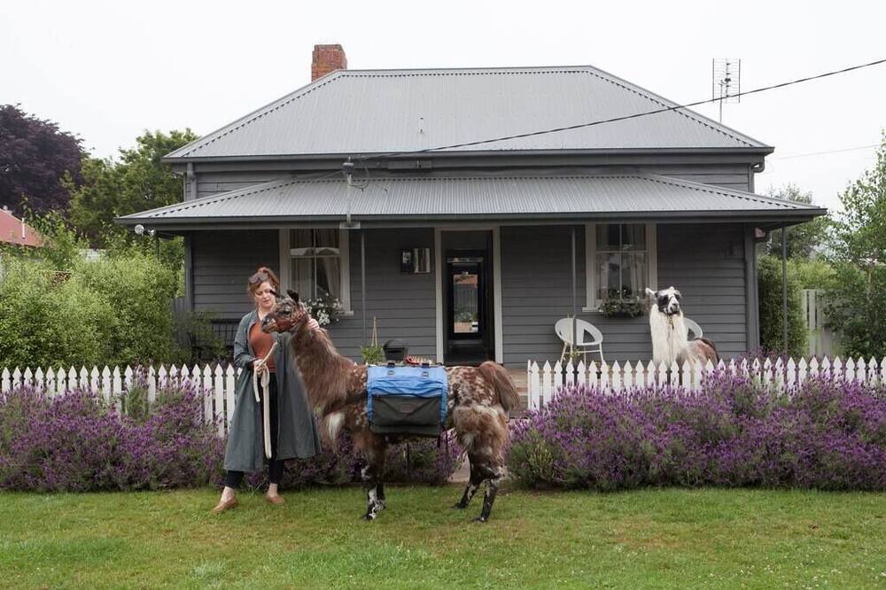 Photo of Outdoor in Trentham