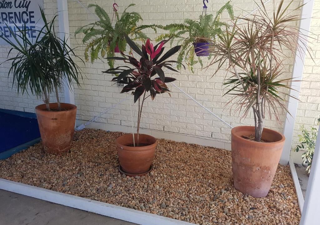 Photo of Outdoor in Rockhampton