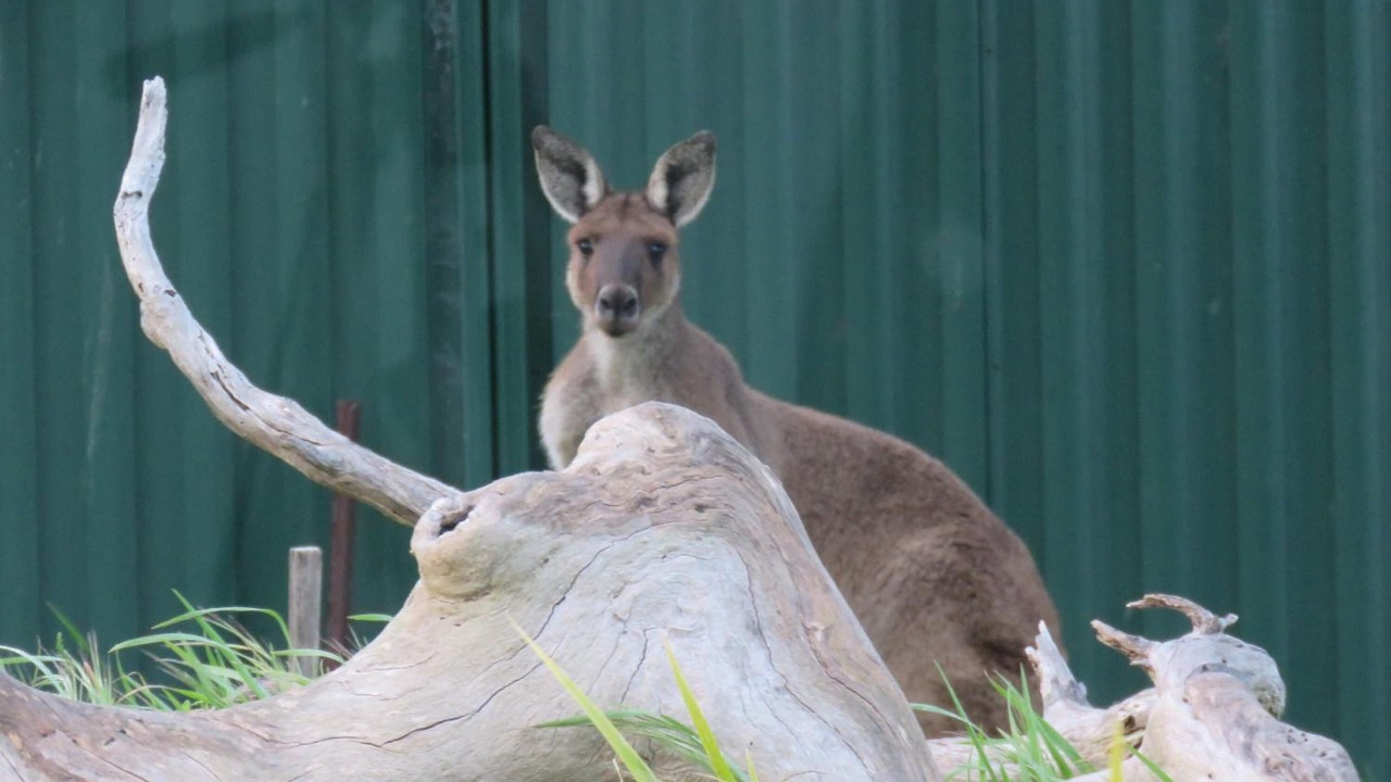 Photo of Outdoor in Bald Hills
