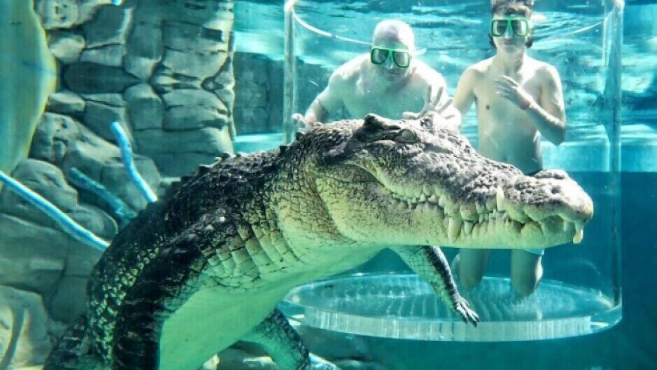 Photo of Others in Darwin City Centre