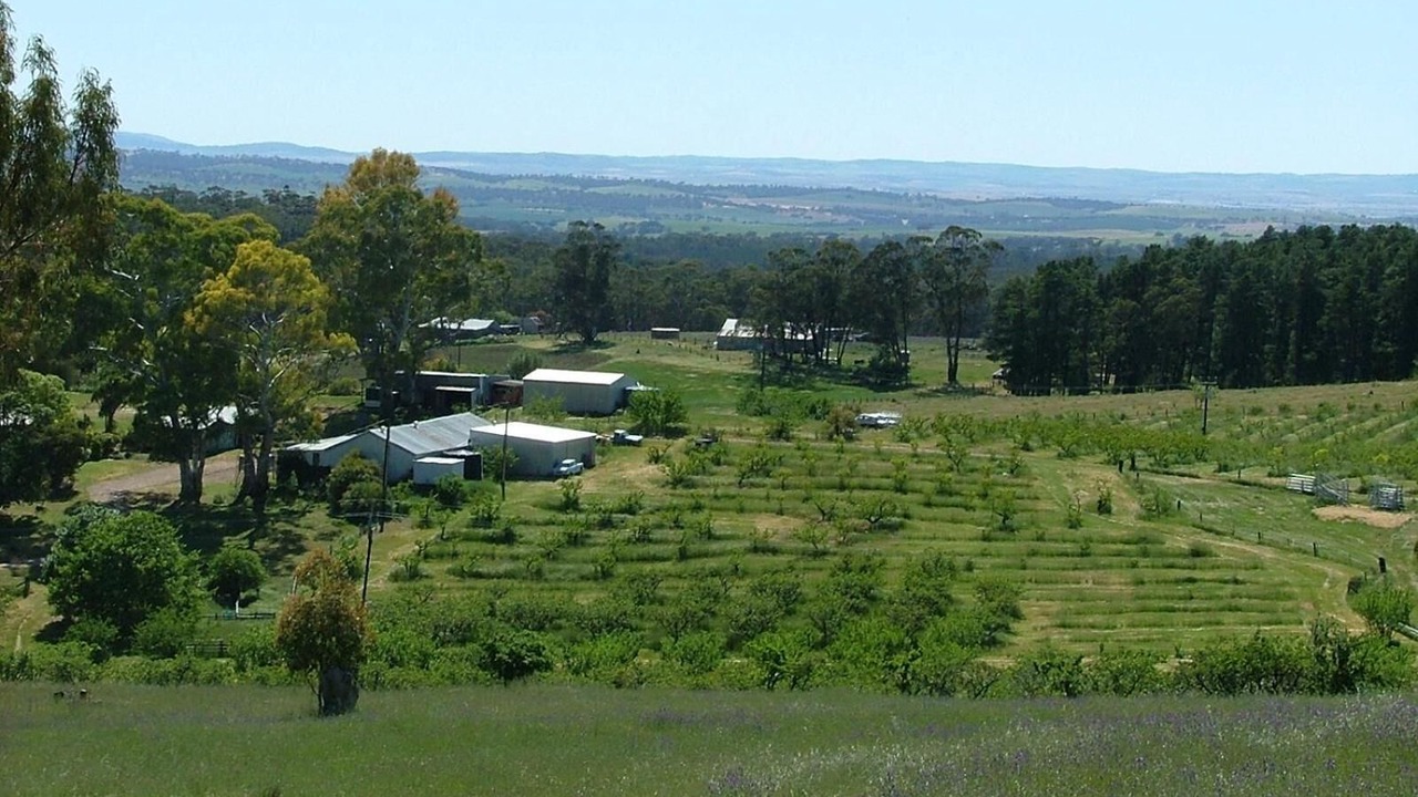 Photo of Outdoor in Darling
