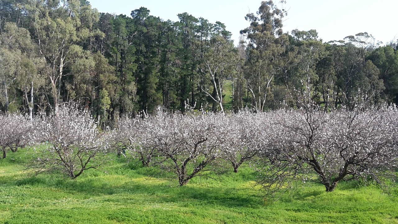 Photo of Outdoor in Darling