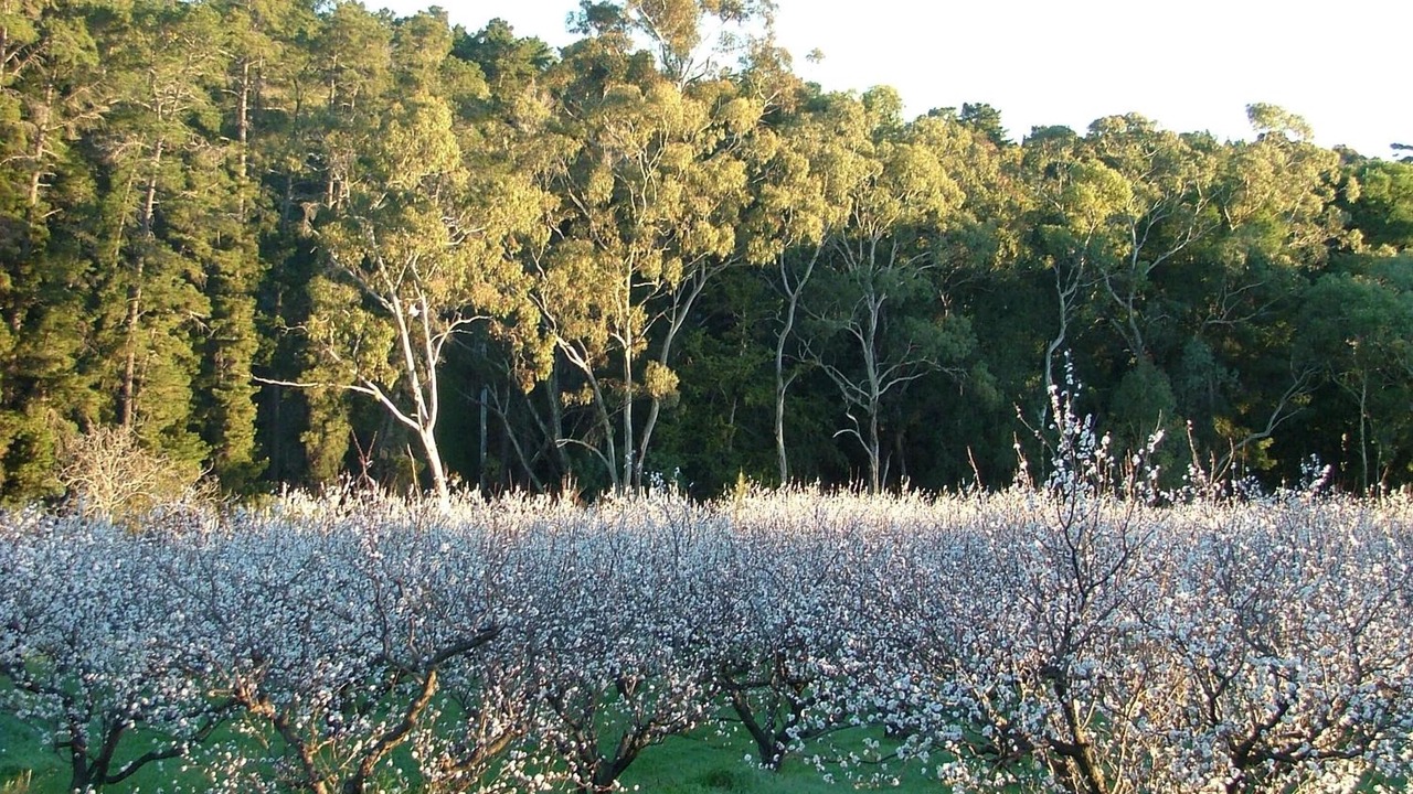 Photo of Outdoor in Darling