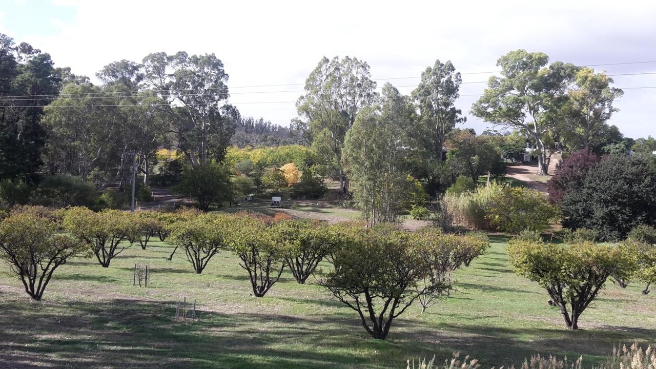 Photo of Outdoor in Darling
