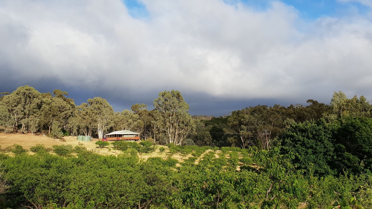 Photo of Outdoor in Darling
