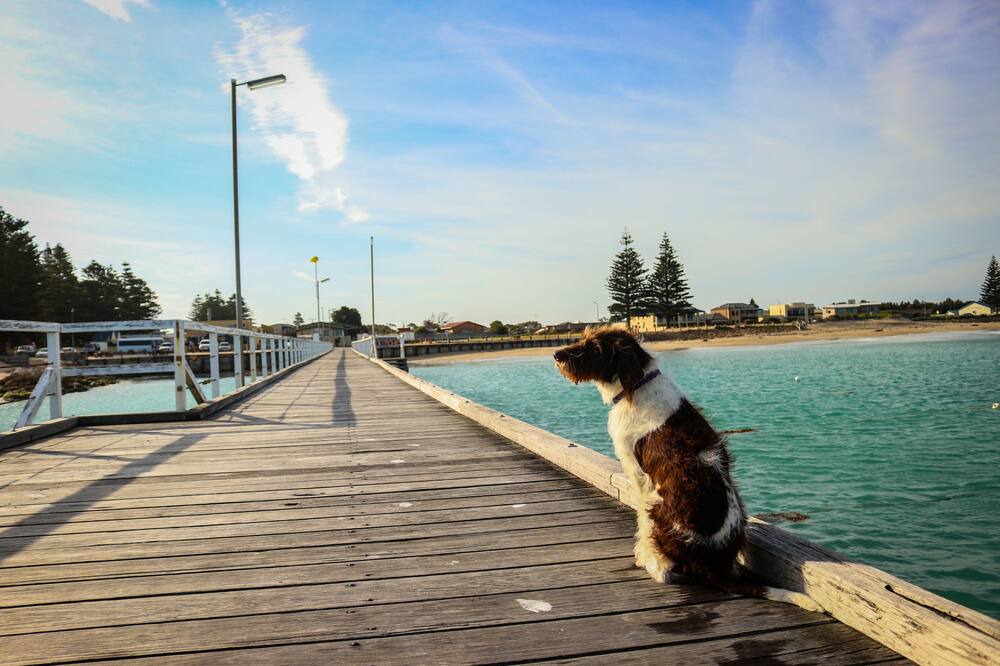 Photo of Others in Rivoli Bay