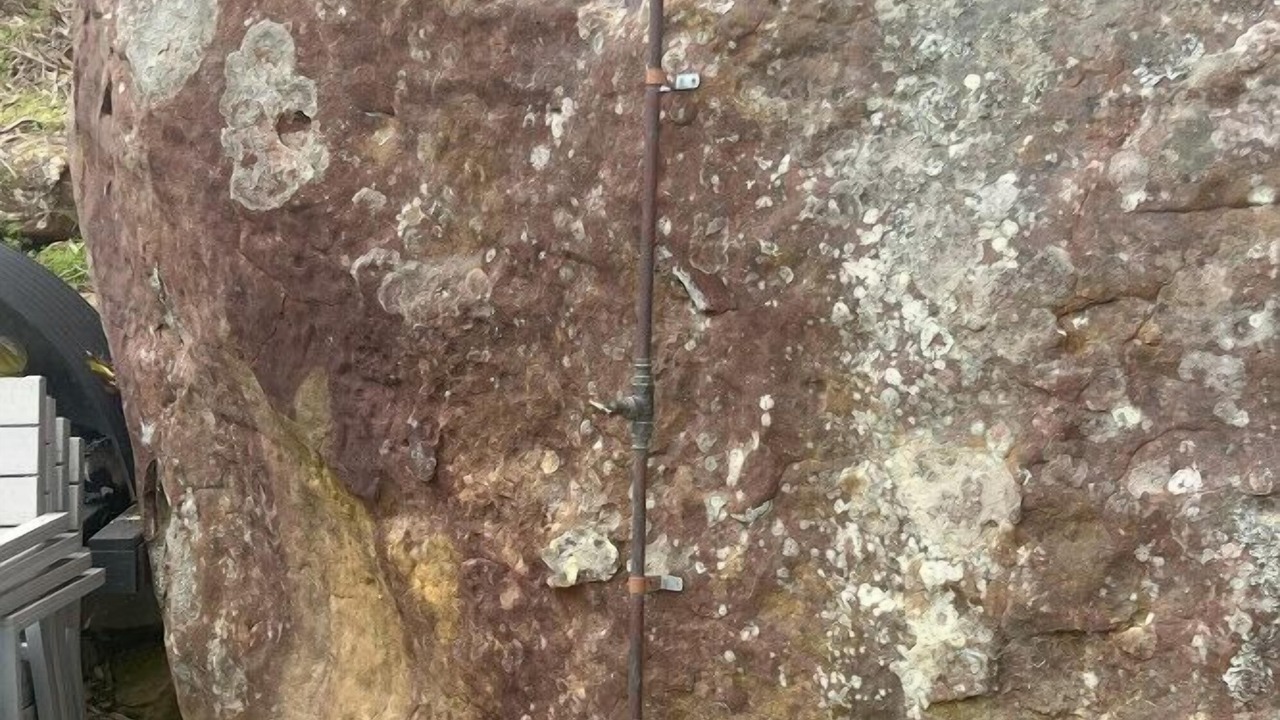 Photo of Others in Bar Point