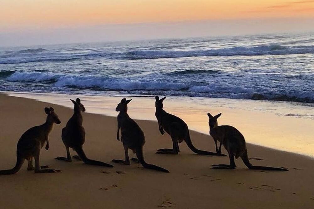 Photo of Others in Pambula Beach