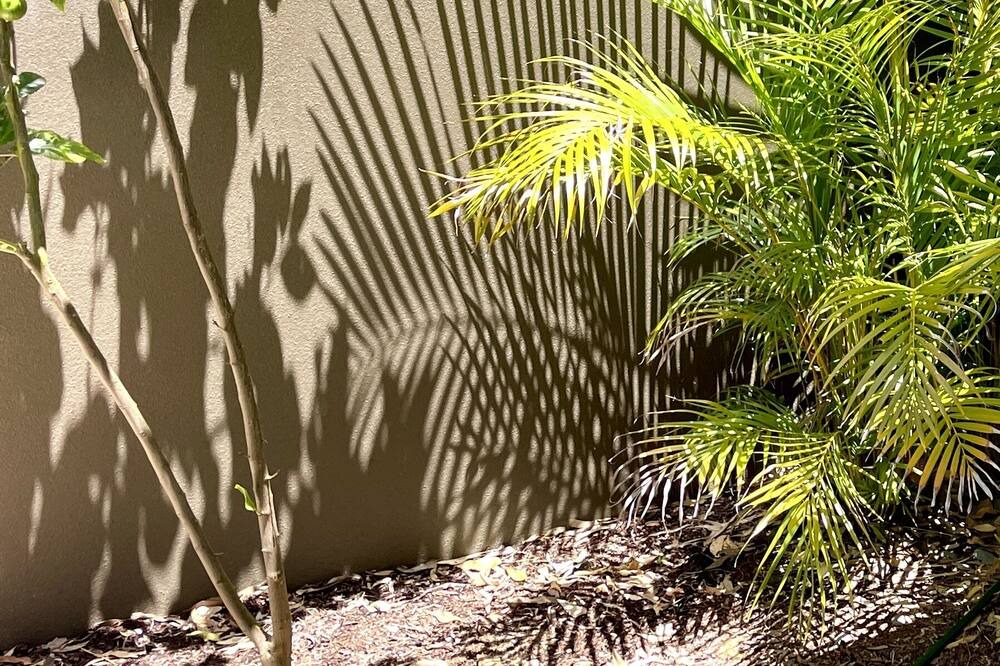 Photo of Outdoor in Coodanup