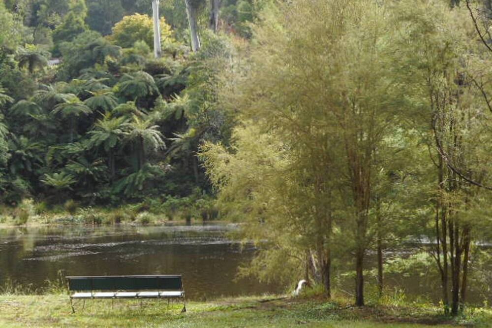 Photo of Outdoor in Warburton