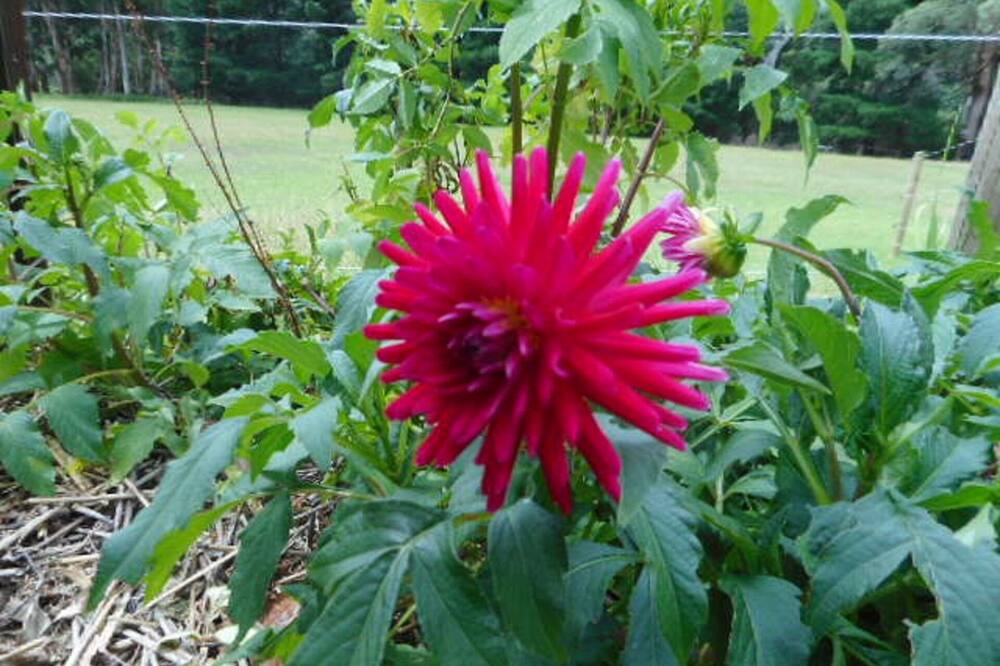 Photo of Outdoor in Warburton
